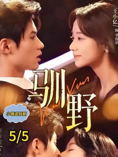 千灯记 古装探案电视剧全集
